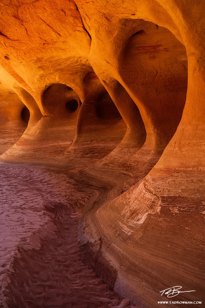 This Utah desert photograph depicts reflected light on structures of the Paria Canyon resembling windows