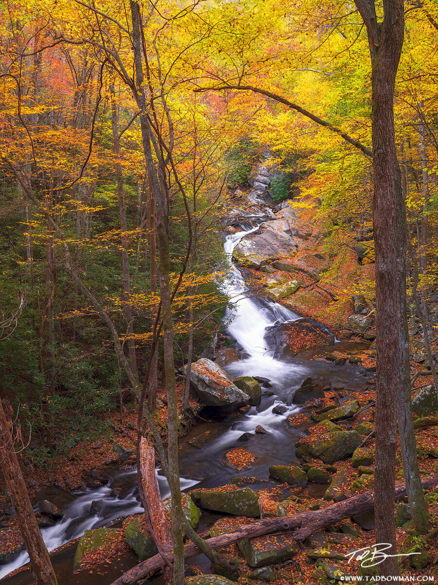 This Smoky Mountains photo depicts vibrant fall foliage surrounding a stream