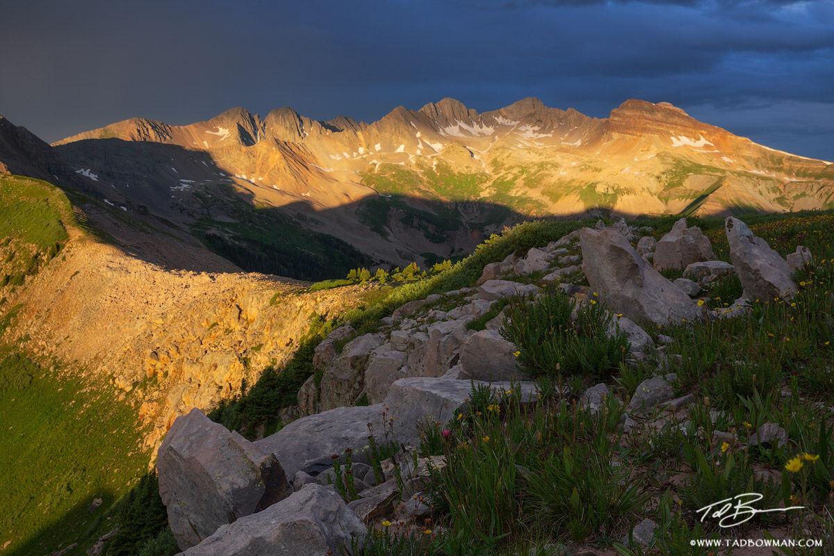 This Colorado mountain photo depicts a gold glow on the La Plata mountains with jagged rocks and wildflowers in the foreground...