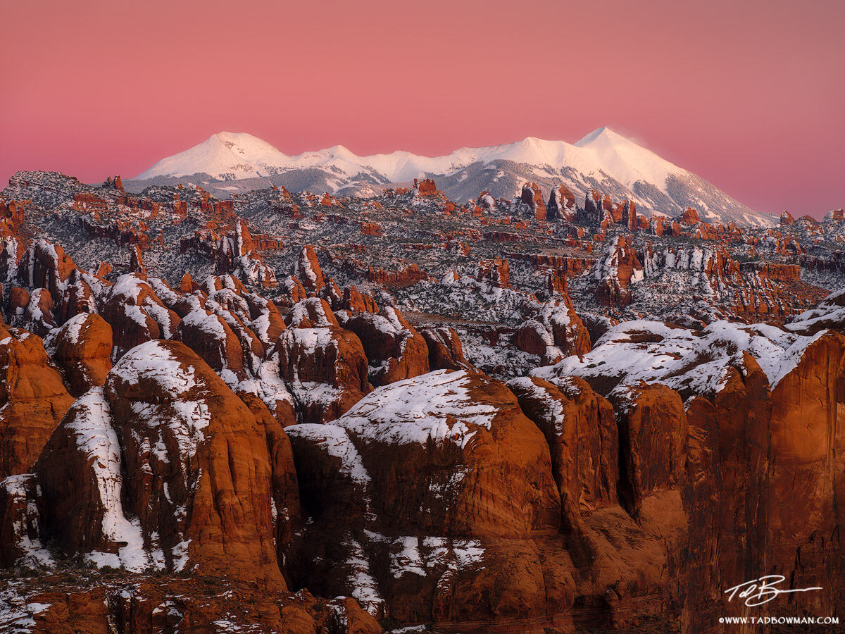This Utah desert photo depicts the Belt of Venus over the La Sal Mountains with rock fin formations in the foreground.