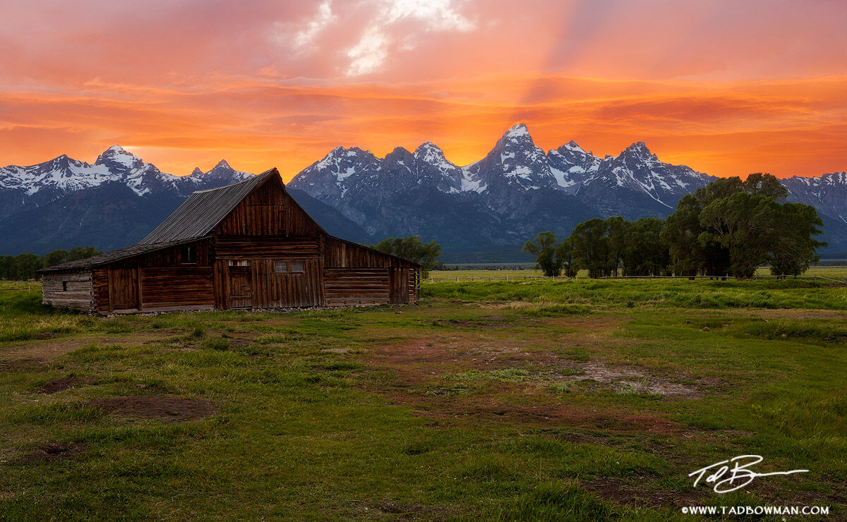 This photo depicts a vibrant sunset over the Grand Tetons with Moulton Barn in the foreground along Mormon Row.