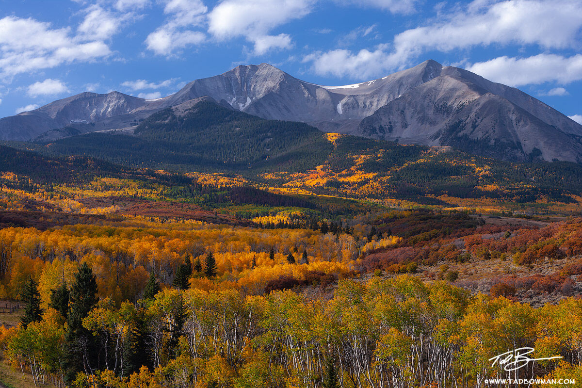 This Colorado photo mountain picture depicts Mount Sopris looming over a colorful aspen tree and scrub oak tree landscape.