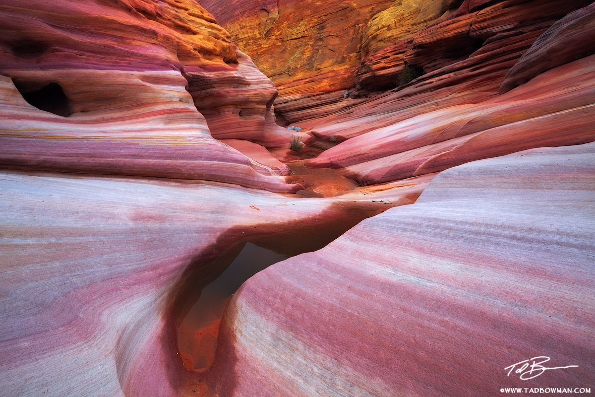 This Nevada photo depicts pink sandstone striations in a tiny canyon in the Valley of Fire park