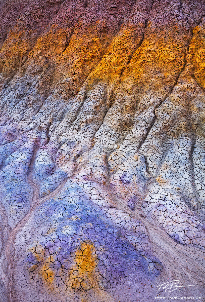 This Arizona desert photo depicts blue, purple, and yellow colors etched into bentonite soil.