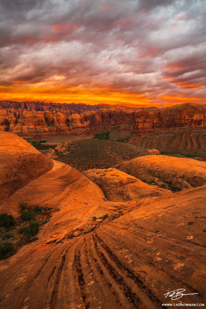 This Utah desert photo depicts colorful sunset light with sandstone formations in the foreground.