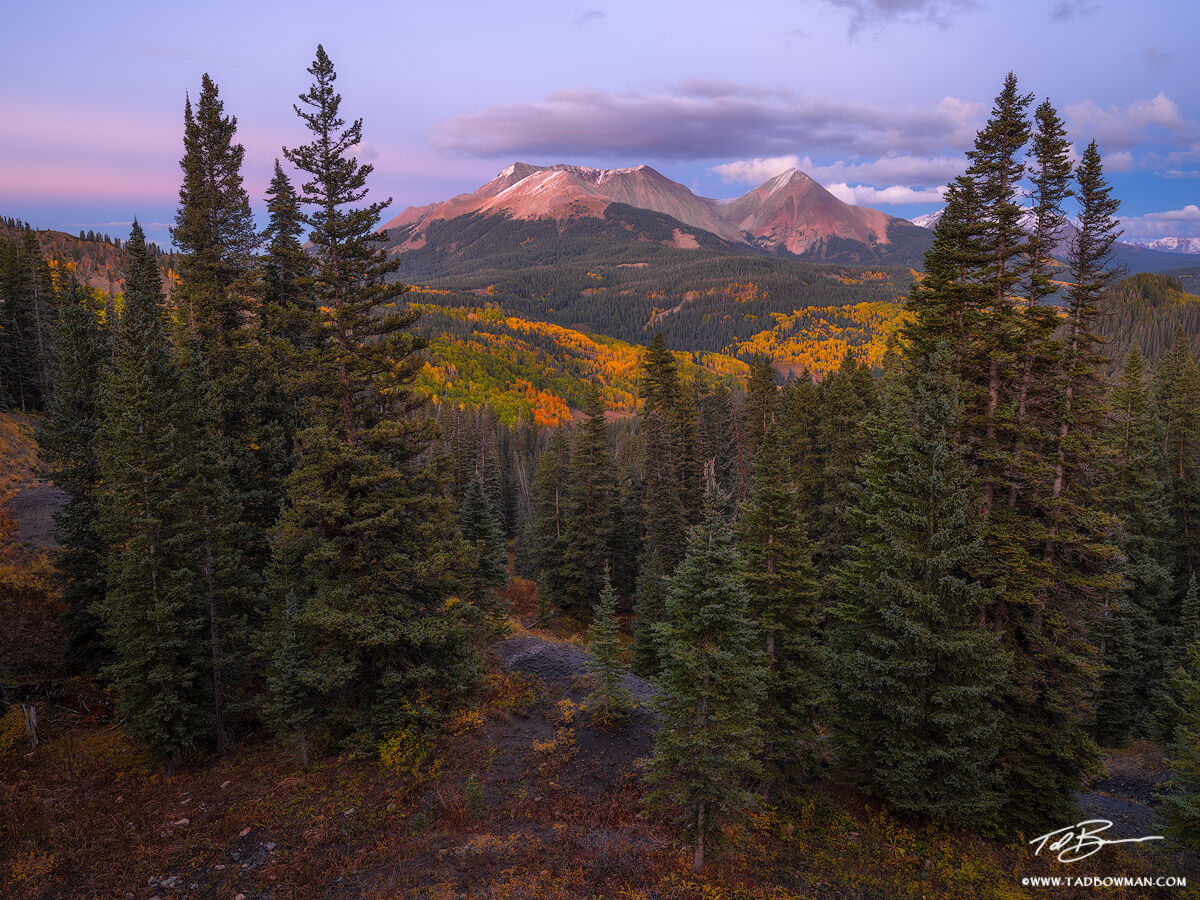 This Colorado mountain photo fall foliage surrounding the Miguel Mountains at dusk situated in the Uncompahgre National Forest...