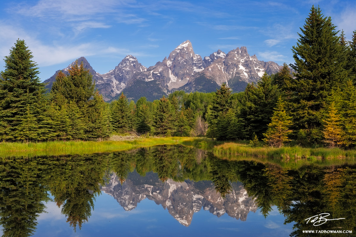 This Wyoming photograph depicts a spring morning reflection of the Grand Tetons near Schwabacher Landing.