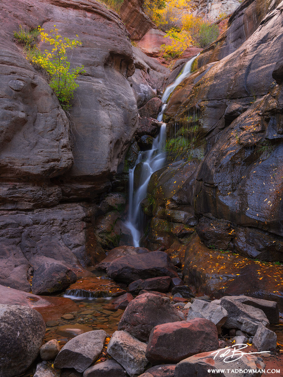 This Colorado waterfall photo depicts a tiny waterfall seeping through the rocks with colorful fall foliage on top