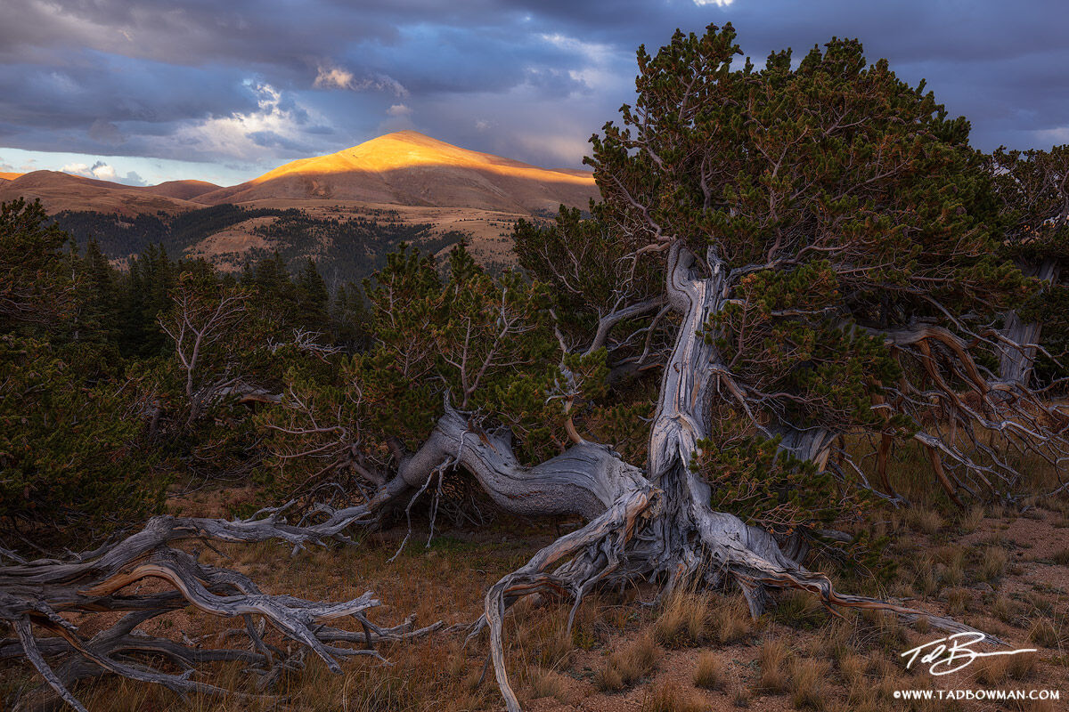 This Colorado mountain photo depicts warm light on Mount Silverheels with stormy clouds moving in