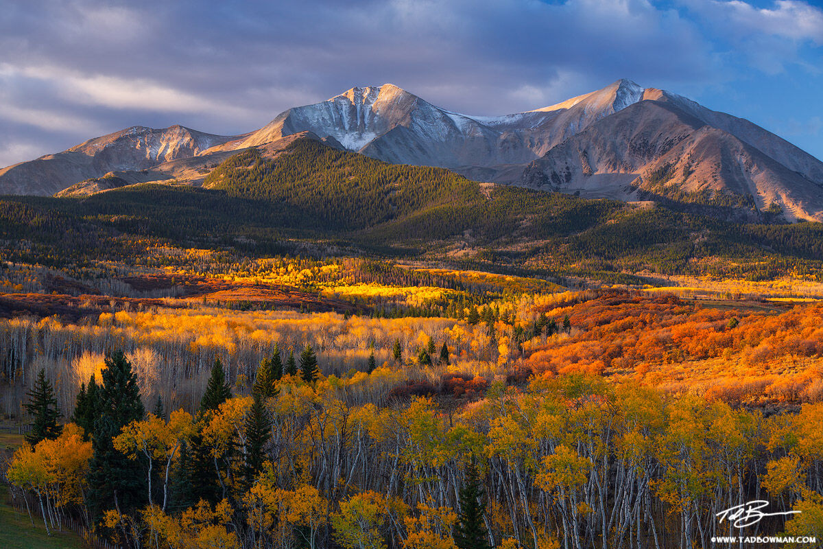 This Colorado mountain photo depicts gold light on Mount Sopris with colorful fall foliage in the foreground