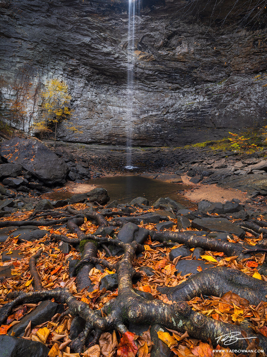 This Tennessee waterfall photo depicts a faint stream of water flowing over a dark cove with roots and orange leaves in the foreground...