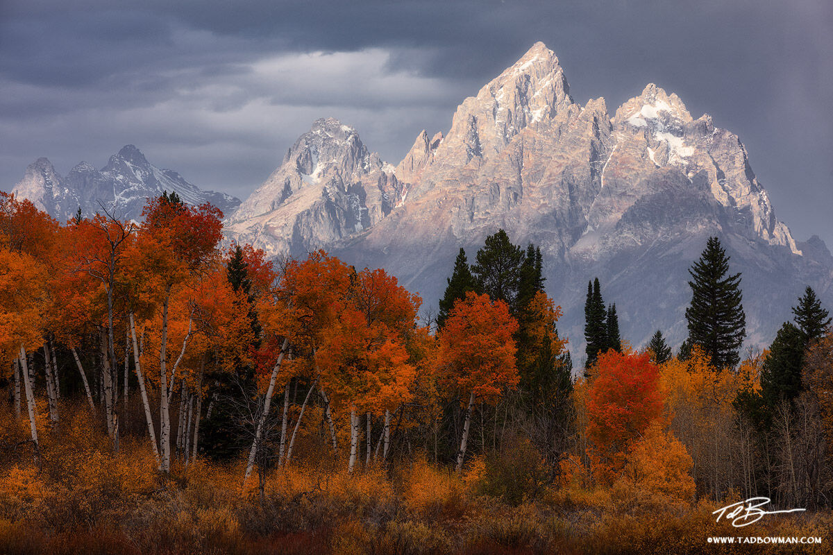 This Wyoming mountain photo depicts stormy conditions rolling in over the Grand Tetons with light illuminating colorful fall...