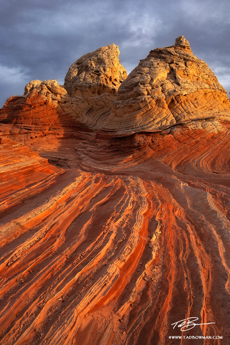 This Arizona desert photograph depicts warm light on rock formations located in the White Pocket