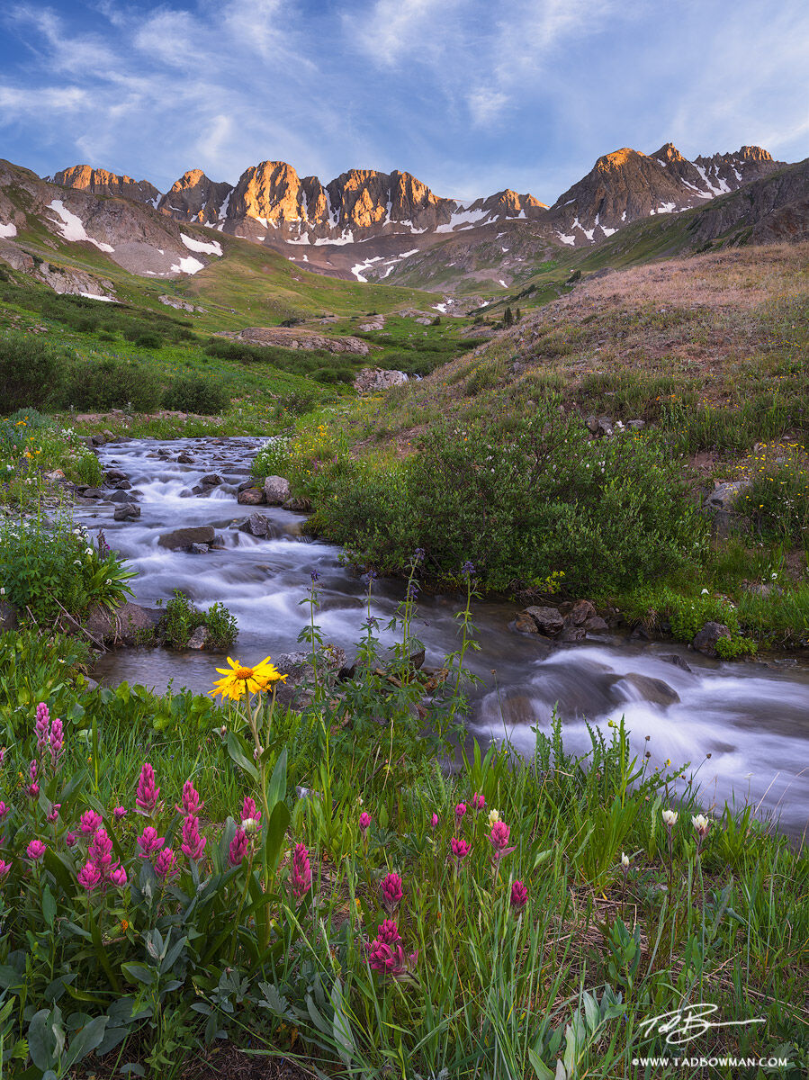 This Colorado Mountain photo depicts flowers, a stream, and late afternoon light on mountain peaks in the Gunnison National Forest...