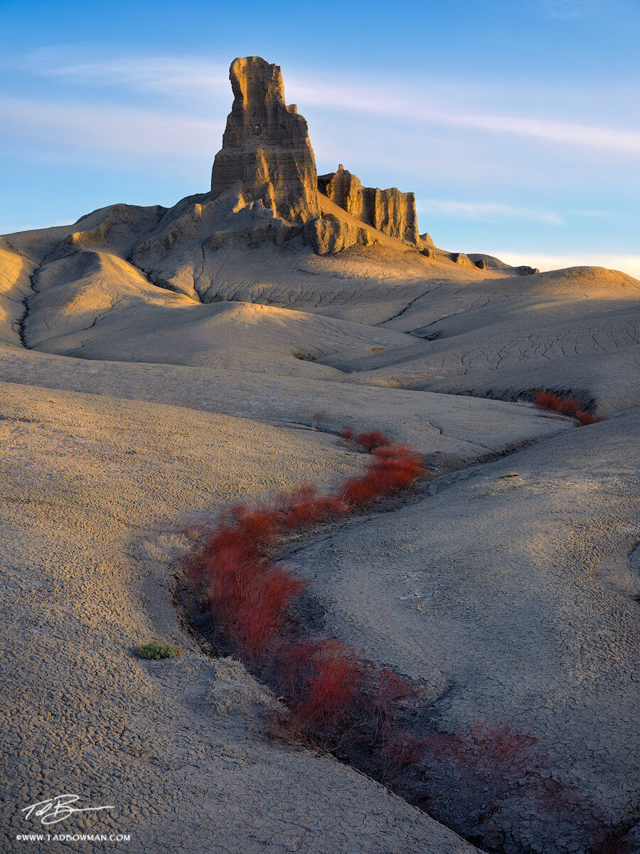 This Utah desert photo depicts sunrise on a sandstone rock formation with willow growing in the foreground