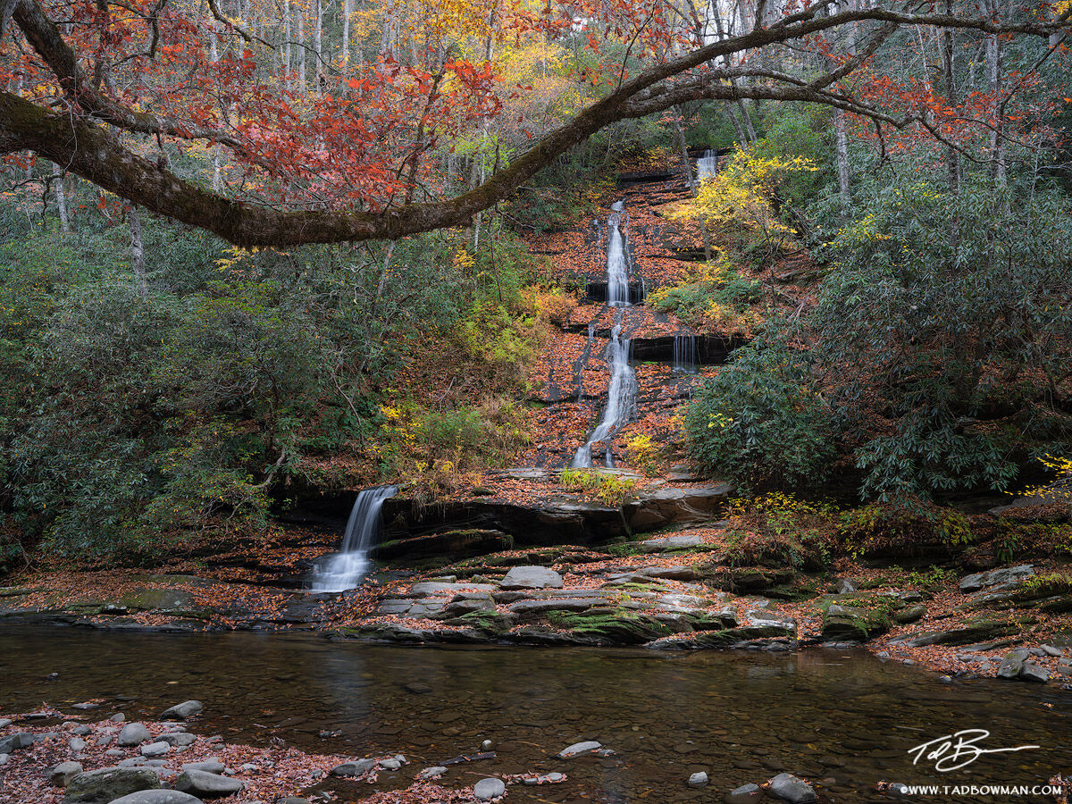 This Smoky Mountain photo depicts Tom Branch Falls surrounded by colorful fall foliage