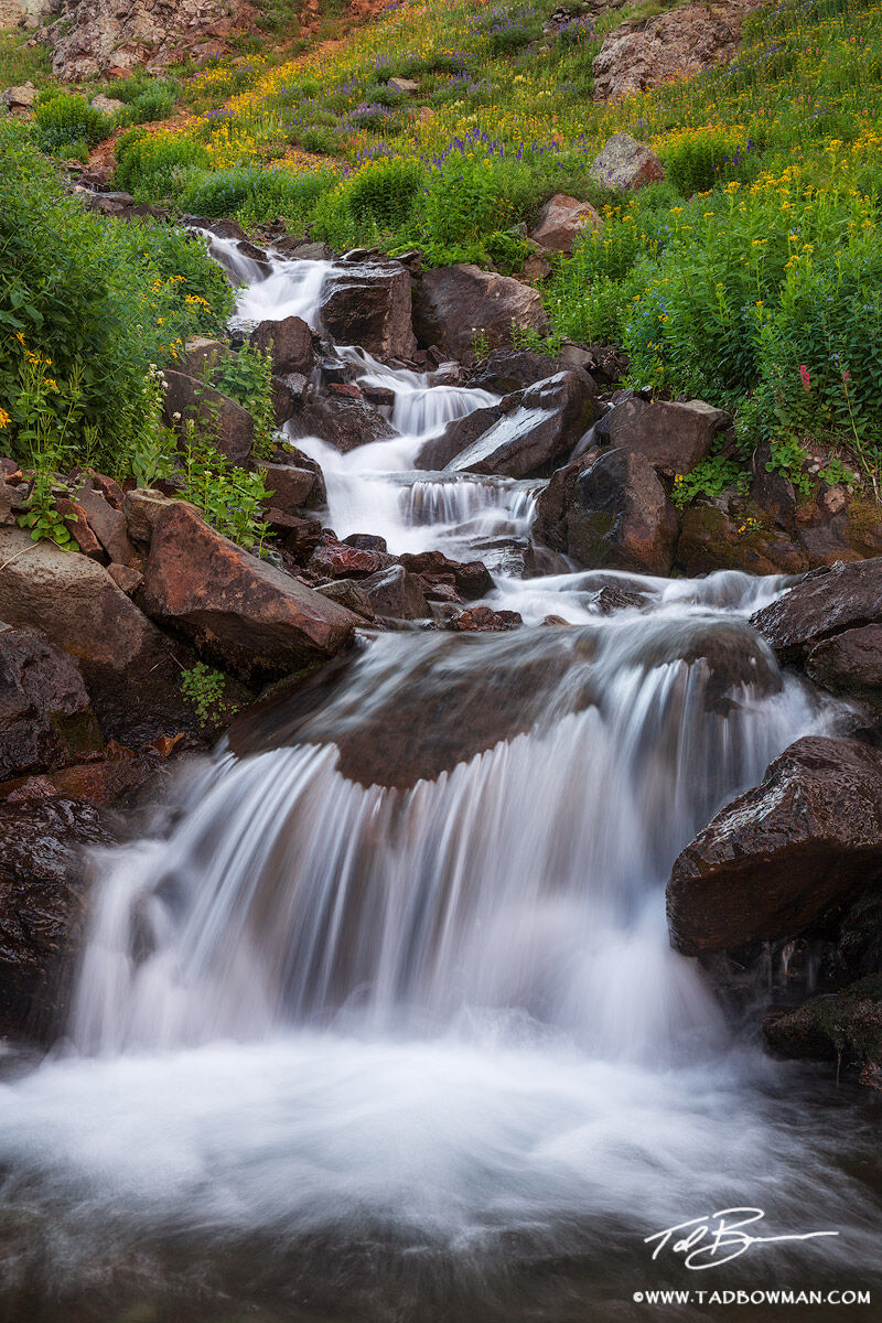 This Colorado picture depicts a waterfall with flowers perched on the banks