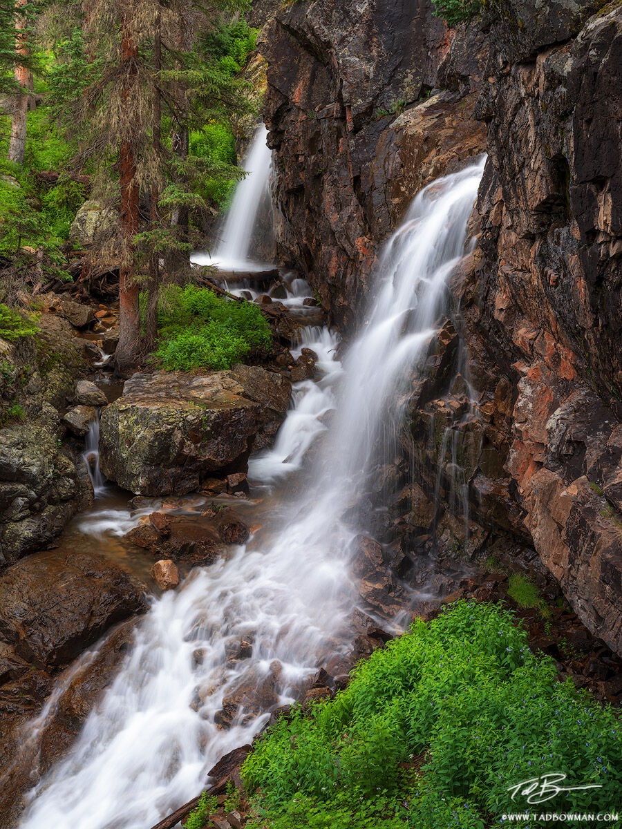 This Colorado waterfall photo depicts two waterfalls flowing over a rocky ridge with green foliage and wildflowers in the Weminuche...