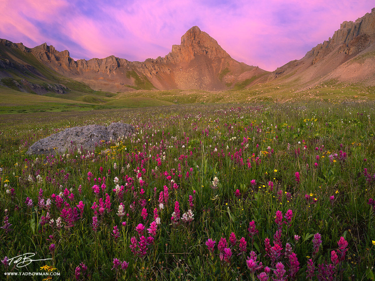 Colorado, Colorado Mountain Photos, Wetterhorn Peak photos, sunset, wildflower photos, colorado wildflower photos