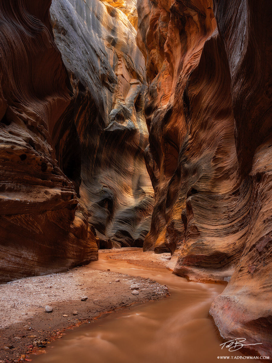 This Utah desert photo depicts Willis Creek flowing through a colorful and twisting canyon.&nbsp;