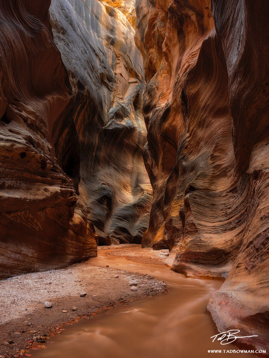 This Utah desert photo depicts Willis Creek flowing through a colorful and twisting canyon.&nbsp;